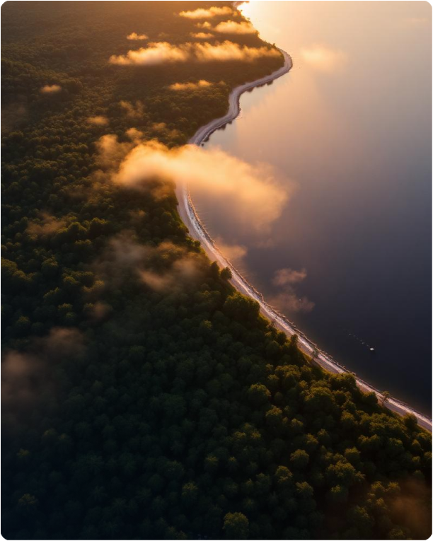 Border (3)